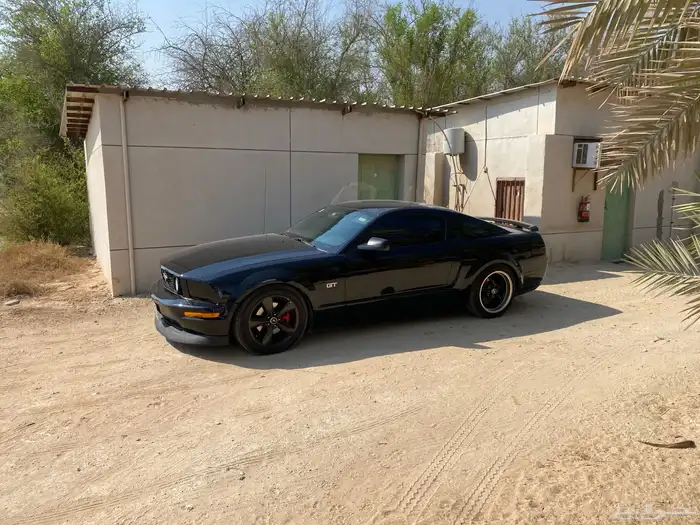 موستنج GT قير عادي 1