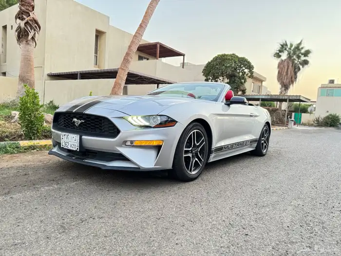 mustang 2019 7