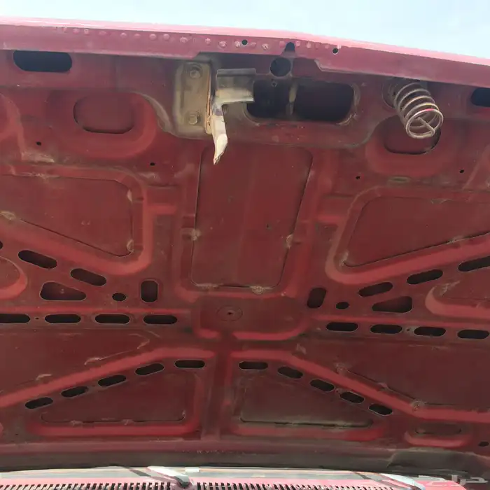 المدينه المنوره  المسيجيد 35