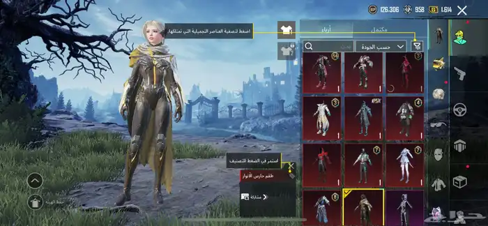 حساب ببجي للبيع 2