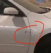 التيما 2010 12