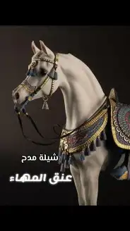 شيلات زفات بالاسماء حسب الطلب 2