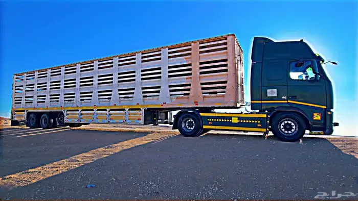 الطول 17 متر 0