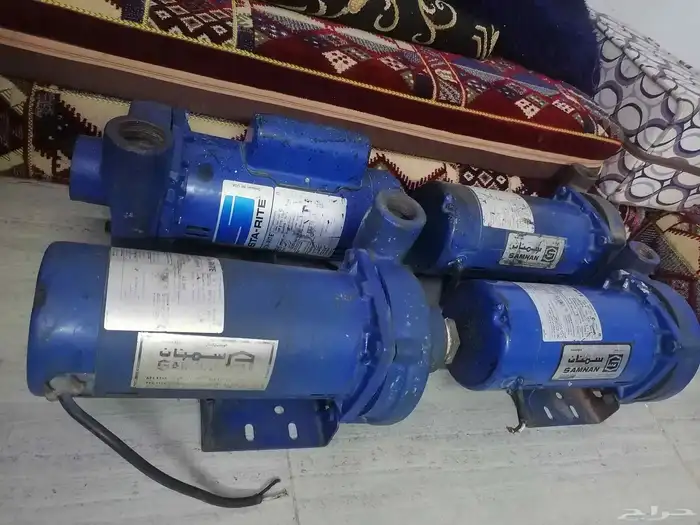 دينمو سمنان أمريكي 5