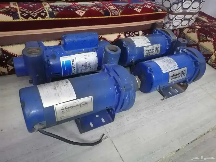 دينمو سمنان أمريكي 18