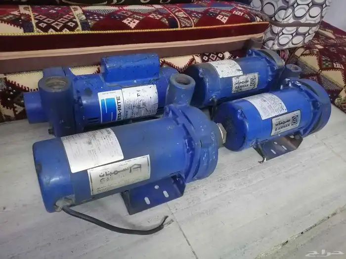 دينمو سمنان أمريكي 17