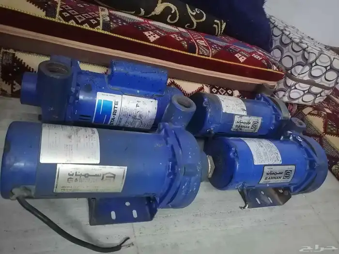 دينمو سمنان أمريكي 2