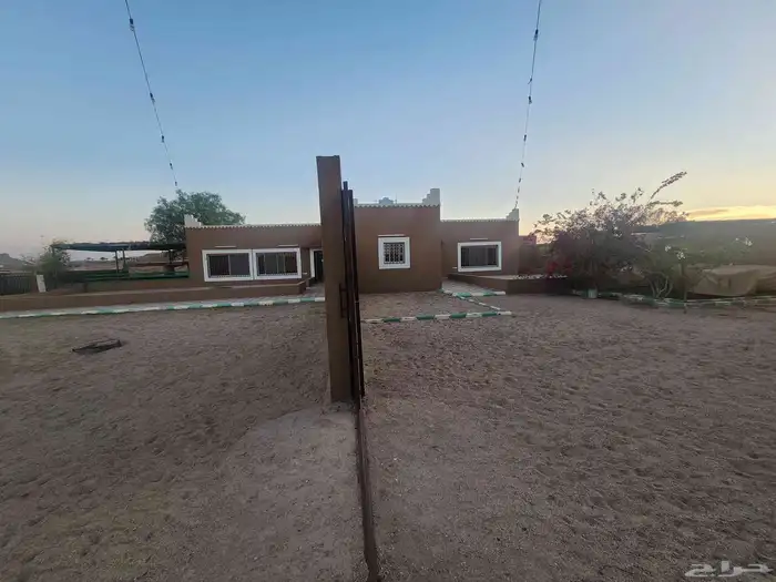 حوش كبير بداخله منزل مفروش ومنزل للعمال ومستودعات للايجار 17