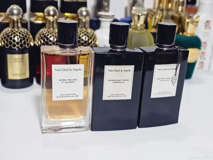عطور تستر اصلي وماركات حصريه (نيش) 10