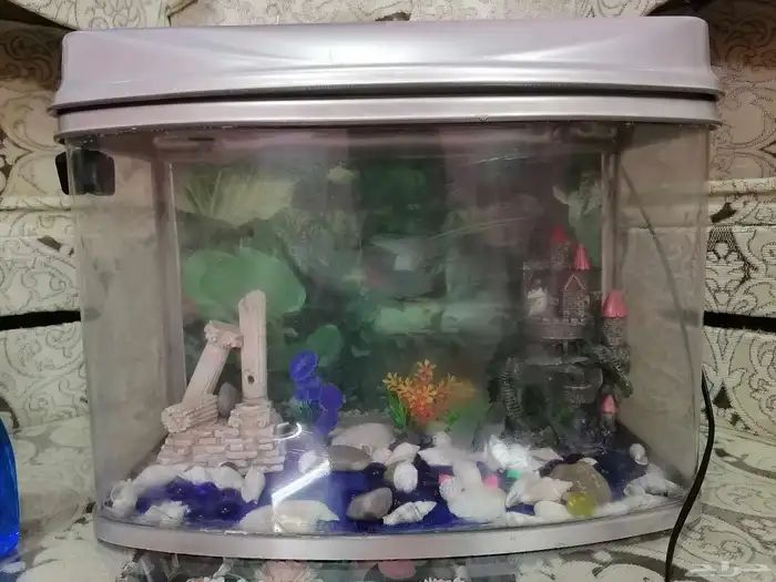 حوض سمك جديد مع اغراضه 0