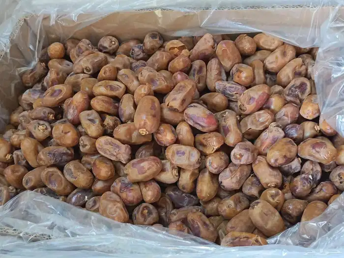 تمر خلاص للبيع في الخرج حبه فاخر 2