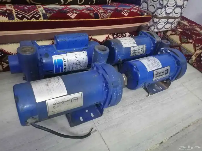 دينمو سمنان أمريكي 16