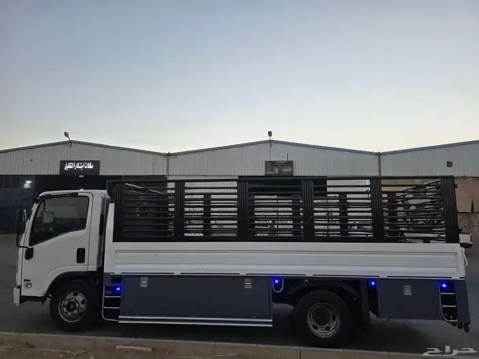 دينا ايسوزو للإيجار مديل 2018 0