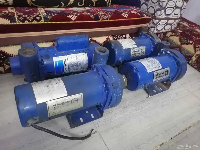 دينمو سمنان أمريكي 12