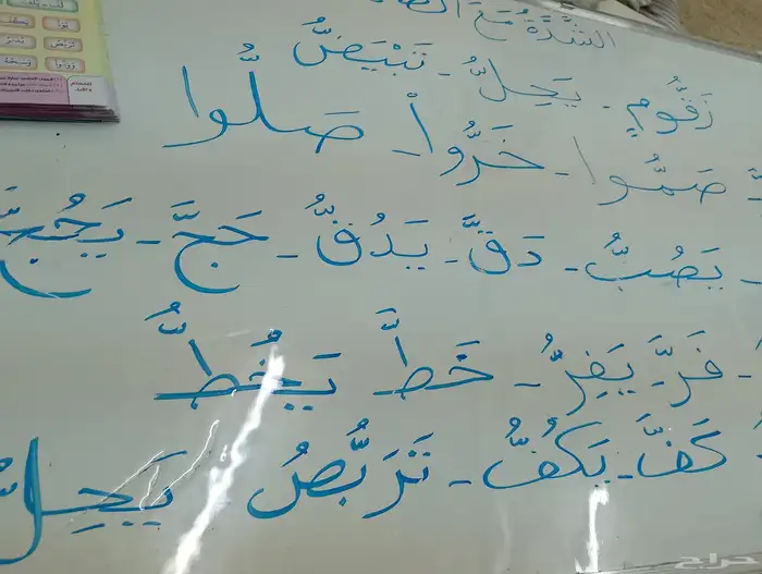 معلم متابعة وتأسيس وتحفيظ قرآن كريم 12