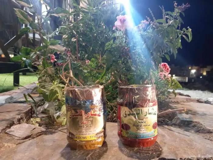 عشار عدني عشار بالليمون   عشار بالمنجا 2