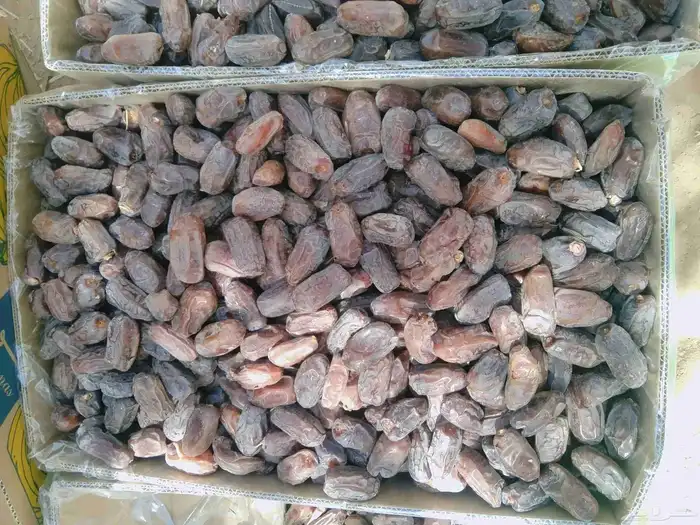 خضري الغاط 20طن 1