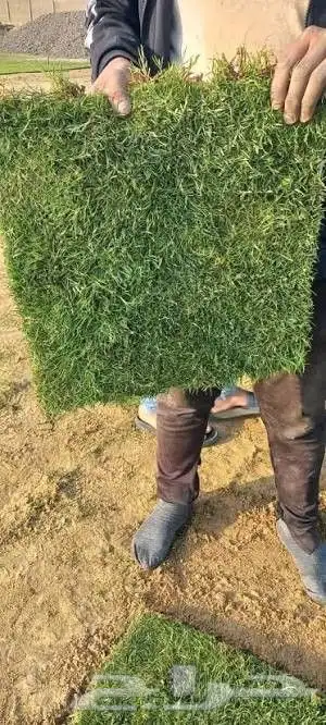 نجيله طبيعيه مع احواض زراعيه تربه زراعيه سافي وتربطيني ومواد 0