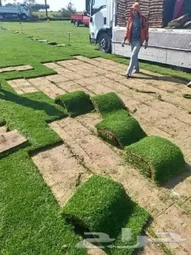 نجيله طبيعيه مع احواض زراعيه تربه زراعيه سافي وتربطيني ومواد 4