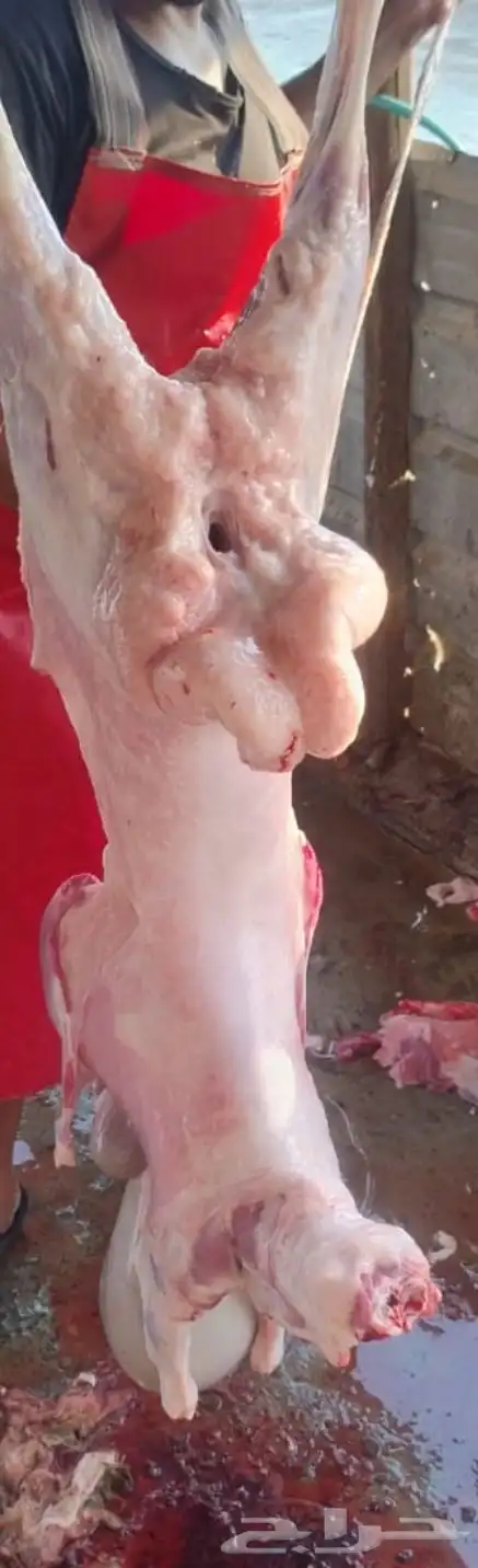 ذبايح 2
