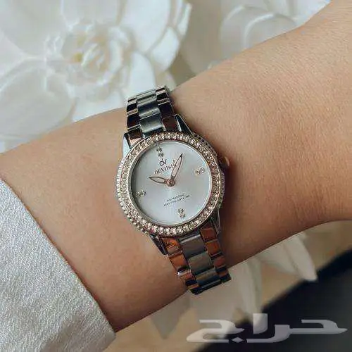 محايل عسير 4