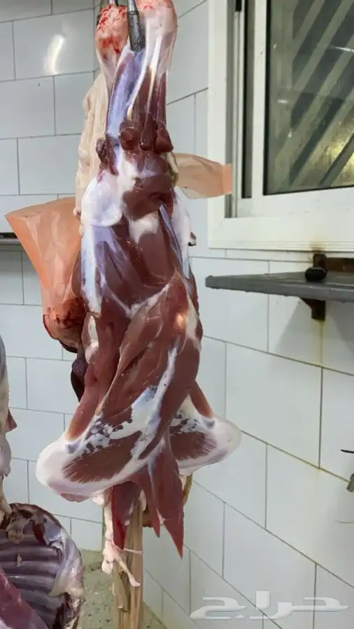 ذبايح مع الذبح والتوصيل 11