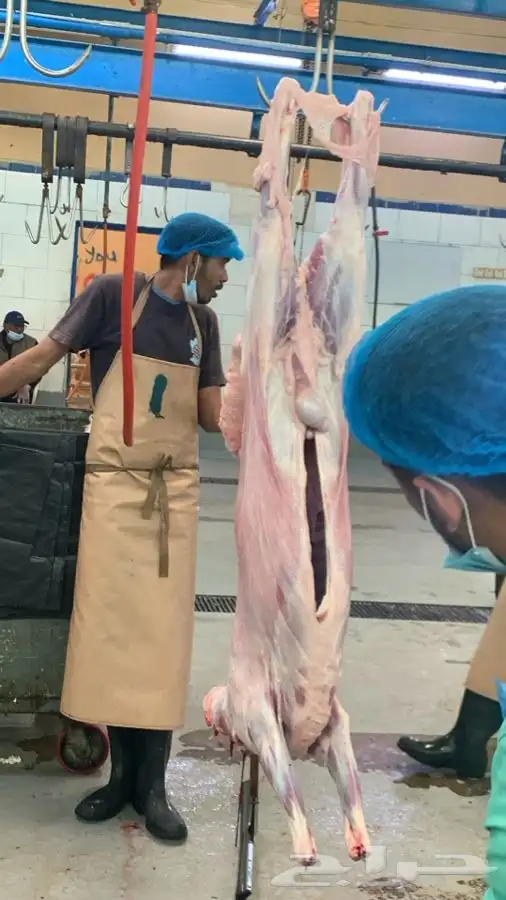 ذبايح مع الذبح والتوصيل 21