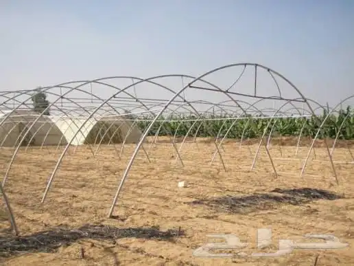 مطلوب ربع بيت محمي بسعر مناسب 0