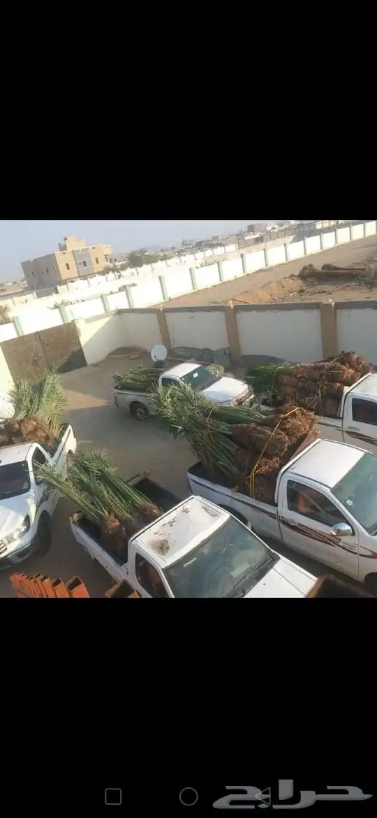 الزلفي 0