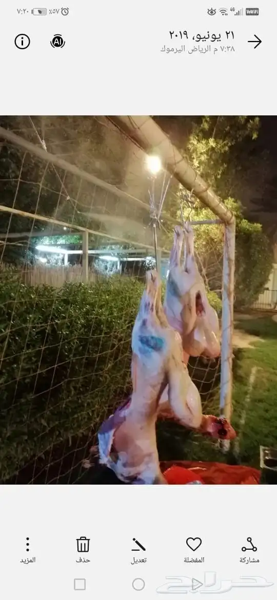 مطلوب ممول مشروع مطعم مشويات سوريا و عراقيه الخبره موجوده عل 5