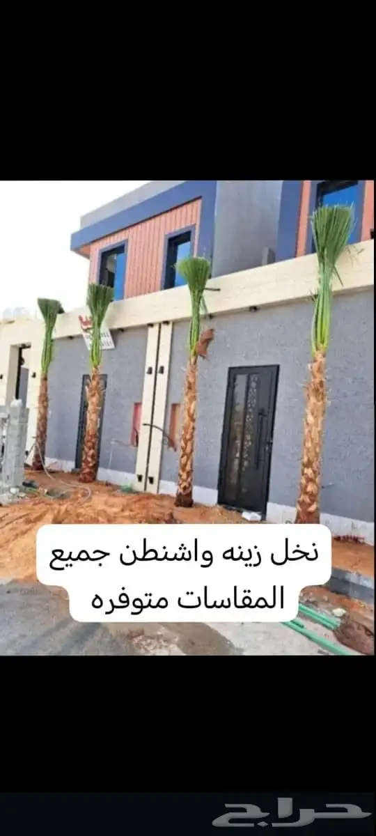 يوجد لدينا جميع انواع انخيل واشنطن وعربي يوجد لدينا جميع الم 7