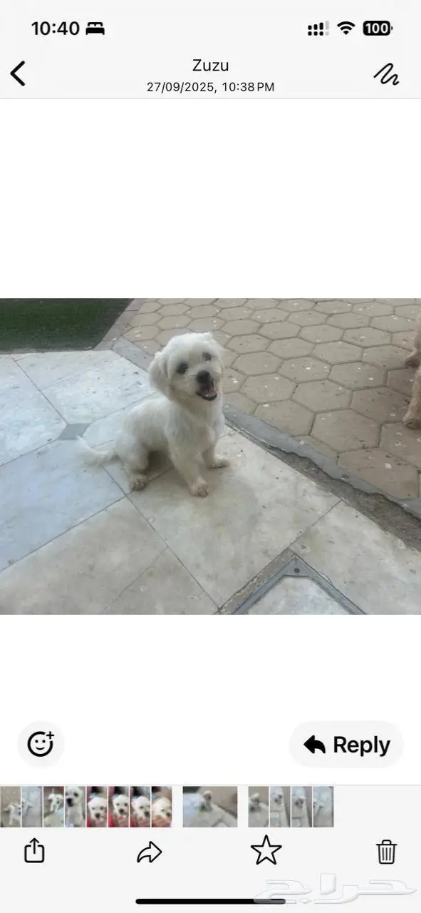 جده حي الزهره 0