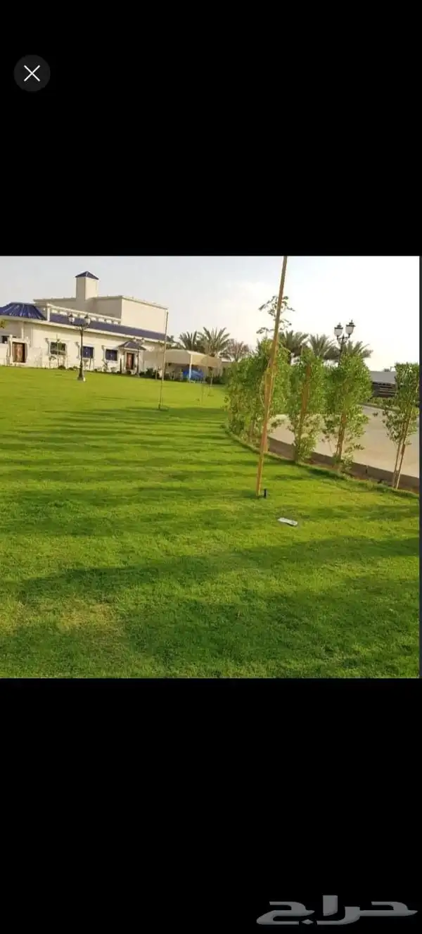عشب طبيعي وأحواض زراعه طبيعي 2
