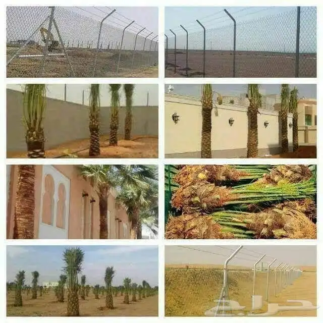 مقاول شبوك ونخل 0