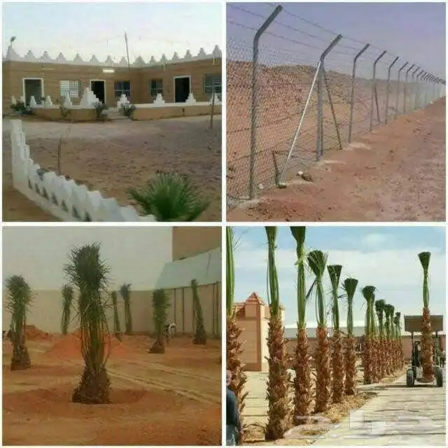مقاول شبوك ونخل 4