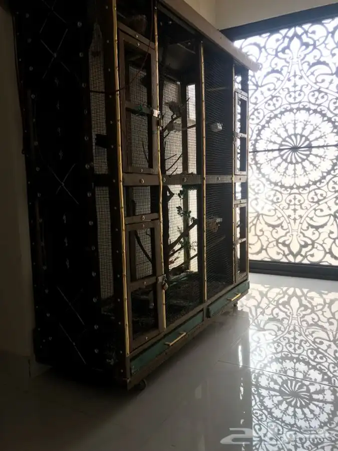 شبك قفص كبير خشب قوي 3