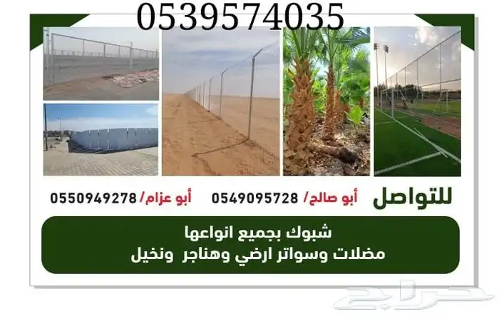 نخيل 2