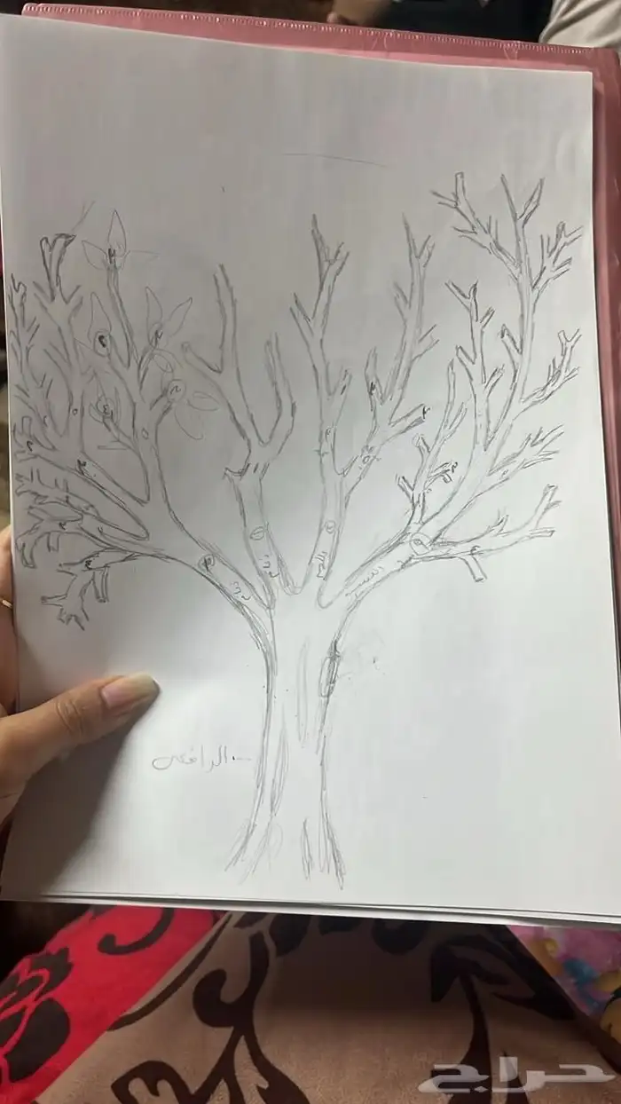تصميم مشجرات الأنساب 13