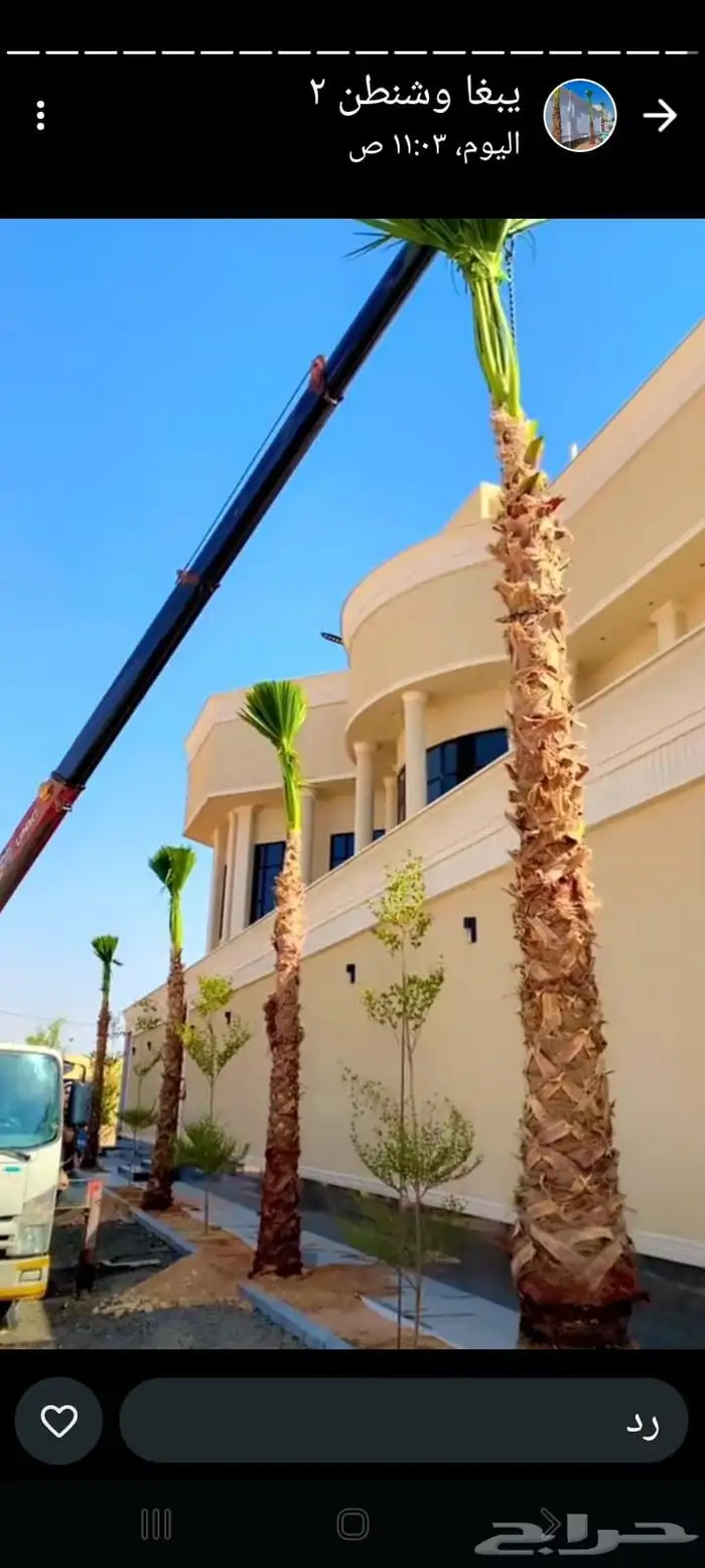 يوجد لدينا جميع انواع انخيل واشنطن وعربي يوجد لدينا جميع الم 9