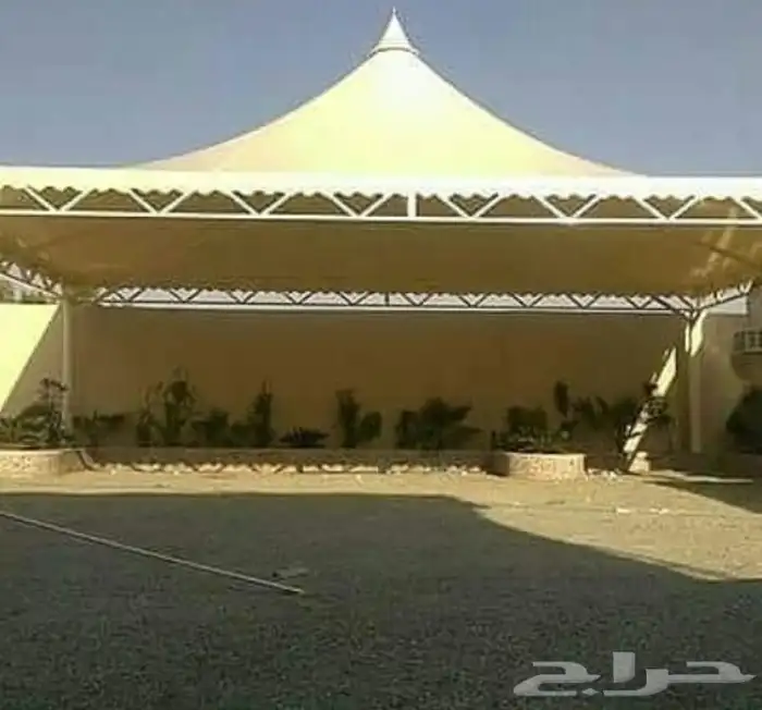 نخيل توريد وتركيب وشبوك 9