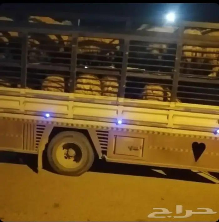 دنا تحميل مواشي 0