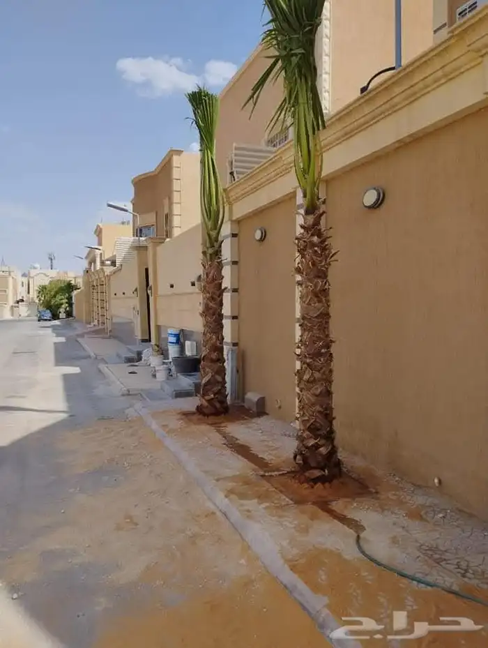 مقاول قلع وتوريد جميع انواع النخيل ولاشجار 8