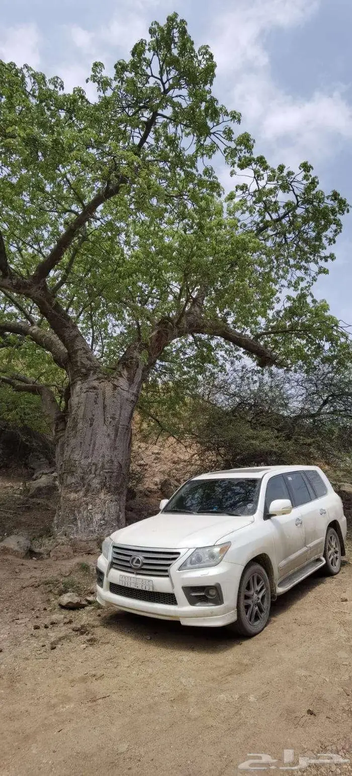 لكزس LX 570 موديل 2009 3