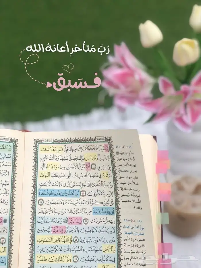 خيركم من تعلم القرآن وعلمه 0