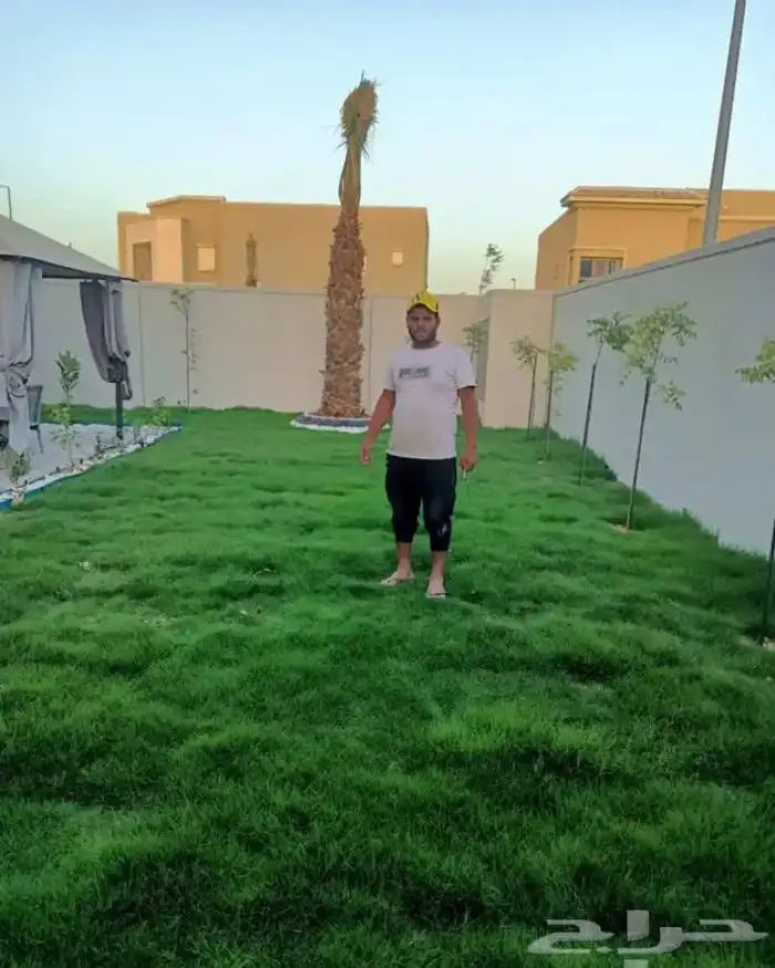 تنسيق الحدائق المنزلية 9