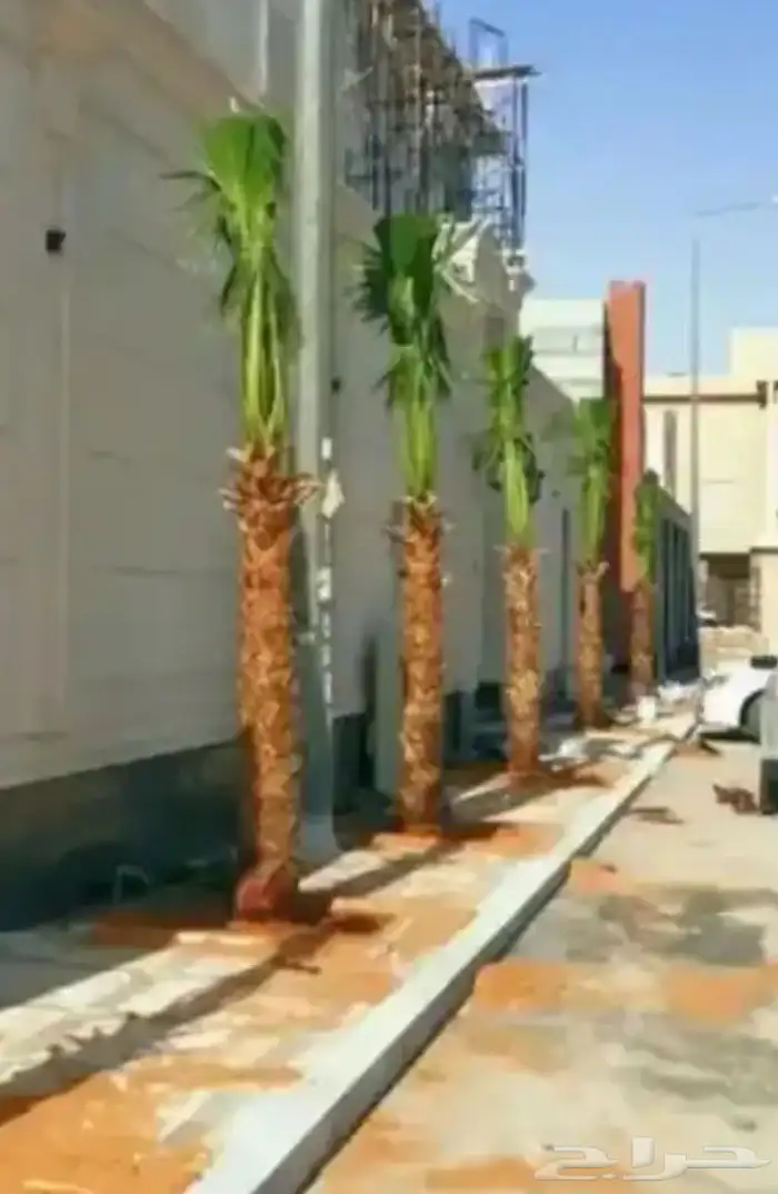 تنسيق الحدائق المنزلية 18