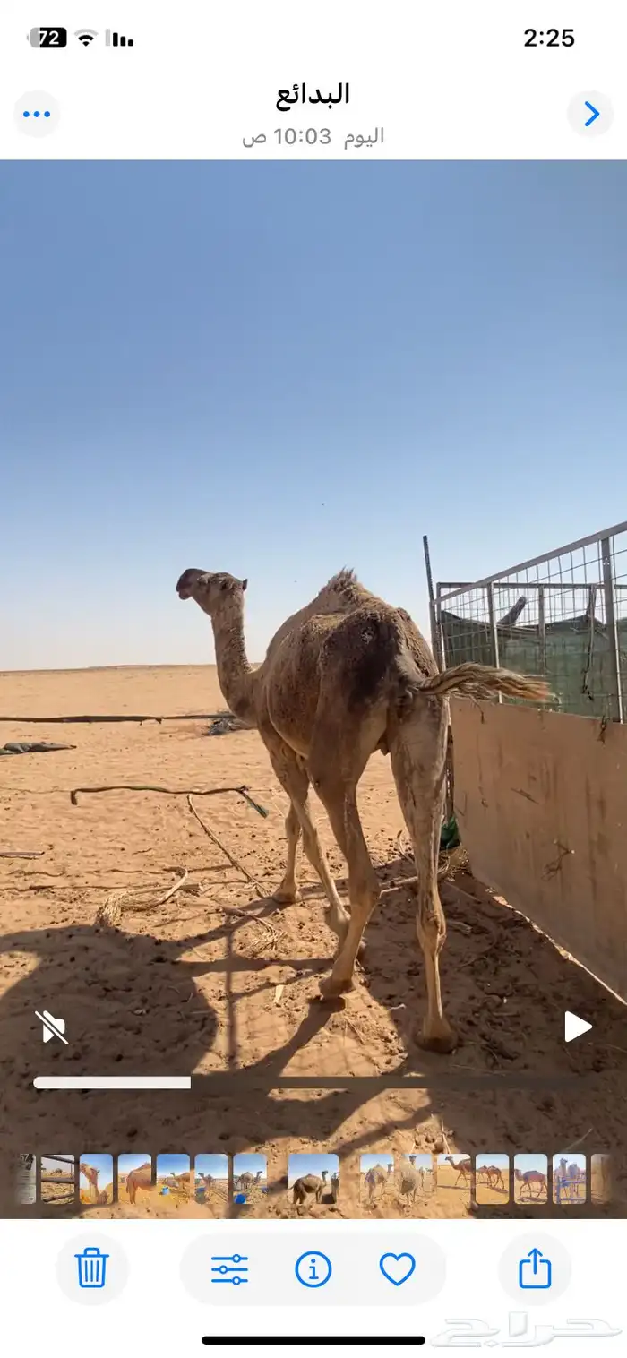 للبيع الضريبه الطيبه 2