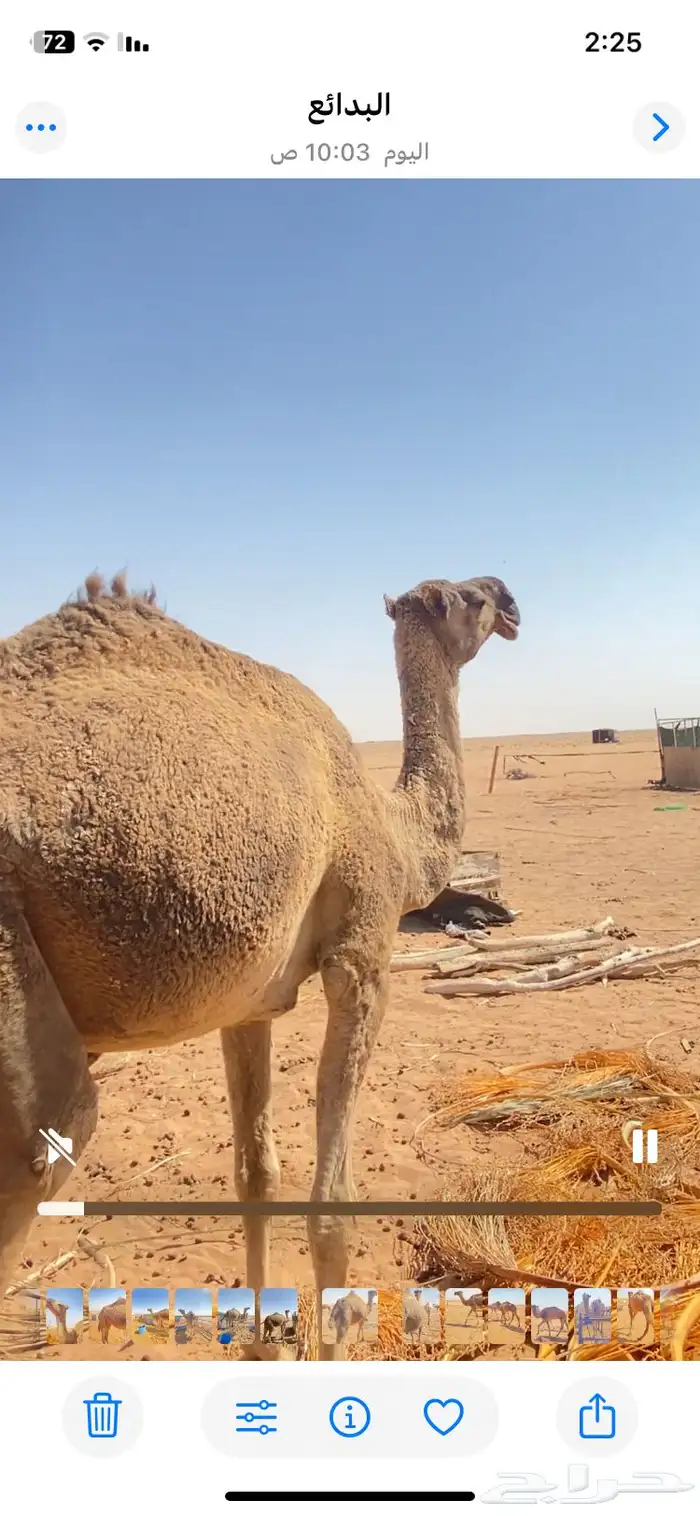 للبيع الضريبه الطيبه 1