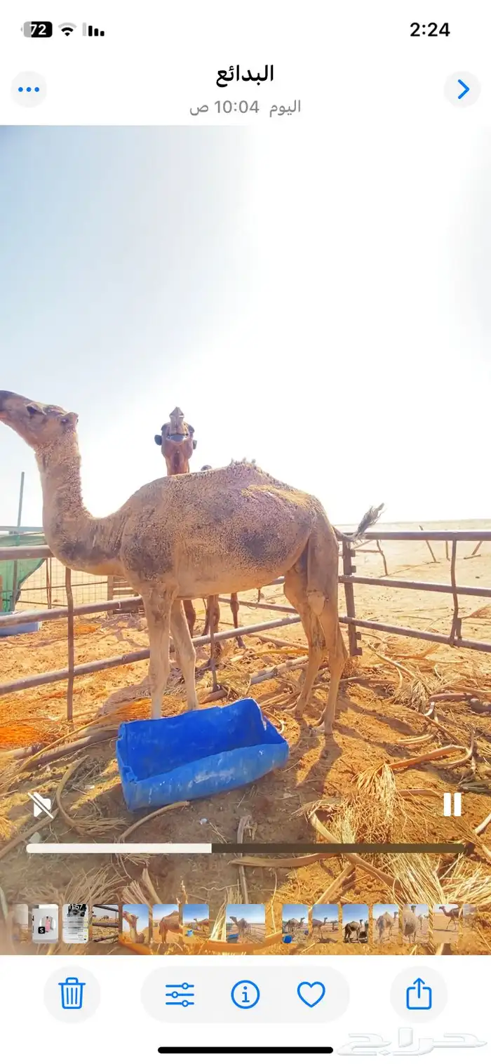 للبيع الضريبه الطيبه 3