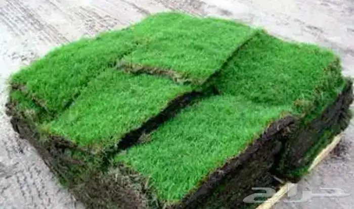 تنسيق الحدائق المنزلية 1